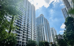 Xu hướng tìm thuê nhà tăng gần 22%