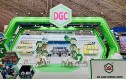 DGC muốn thoái vốn khỏi nhà máy cồn giữa lúc lợi nhuận giảm gần một nửa