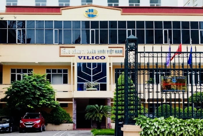 Dự án bò thịt nghìn tỷ của Vilico chính thức sang tay sau khi tăng vốn lên 2.900 tỷ đồng