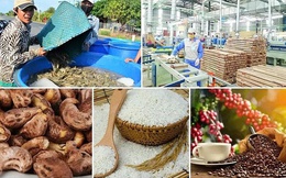 Nhập khẩu nông lâm thủy sản 5 tháng đầu năm đạt hơn 22 tỷ USD