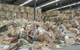 Gỡ nút thắt thu gom, tái chế để ngành giấy tăng trưởng xanh, bền vững