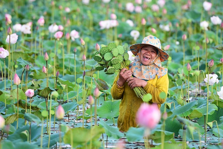 Việt Nam tăng hơn 20 điểm tự do kinh tế sau 30 năm cải cách.jpg