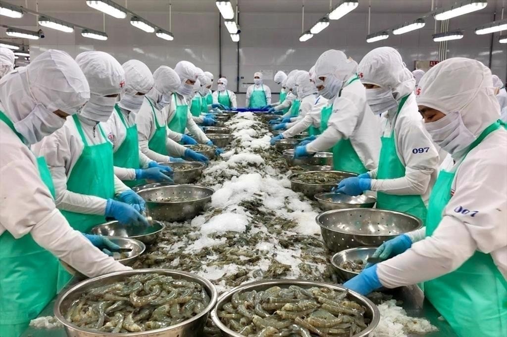 320 doanh nghiệp thủy sản kiến nghị Mỹ miễn áp thuế 12,5%