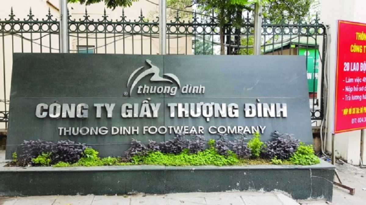 Vinaconex sở hữu 24% Giầy Thượng Đình, hé lộ tham vọng với quỹ đất vàng Hà Nội