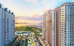 Hội tụ ba giá trị sống - nghỉ dưỡng - đầu tư, Sun Elite City khẳng định vị thế trung tâm Bãi Cháy