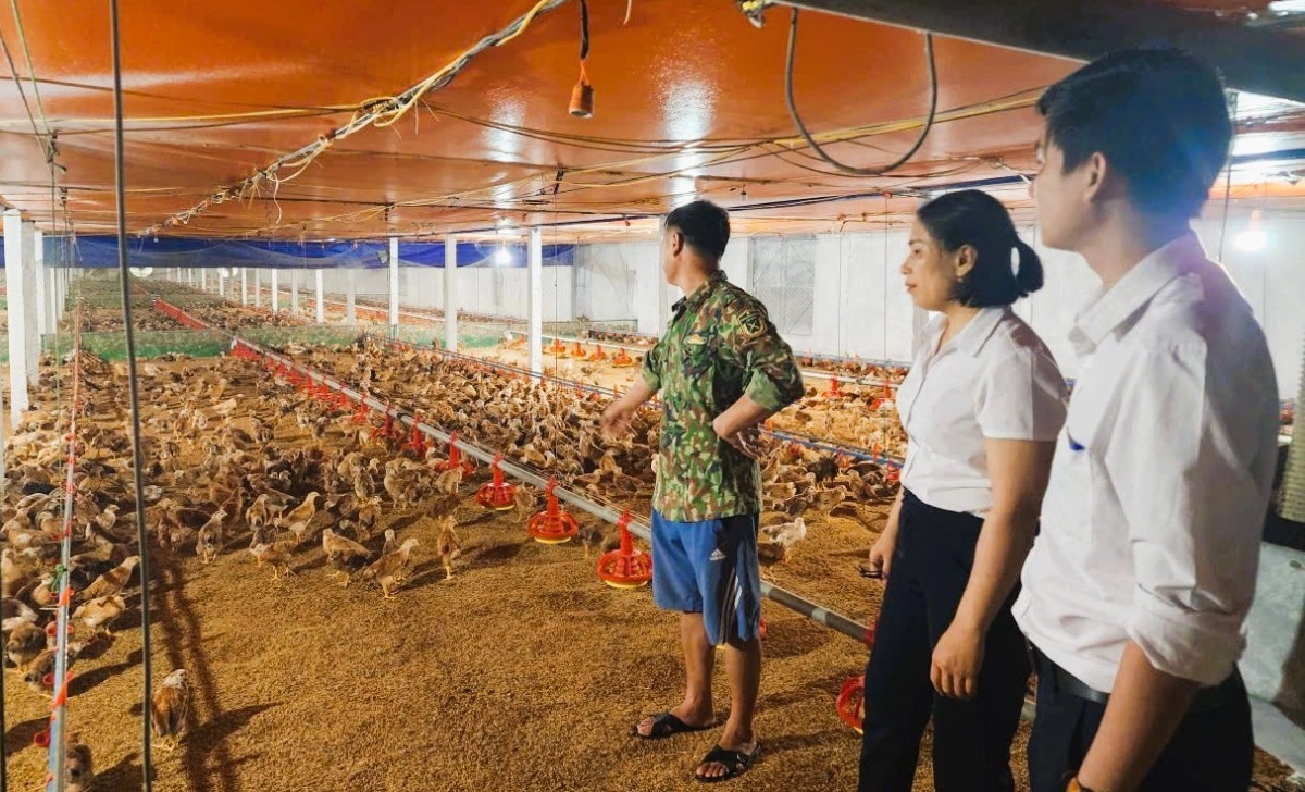 Hệ thống Agribank trên địa bàn Hà Tĩnh đang triển khai nhiều giải pháp nhằm giảm mặt bằng lãi suất.