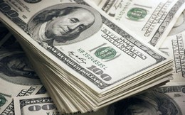 Tỷ giá USD hôm nay 17/6: Tỷ giá trung tâm ở mức 25.175 đồng