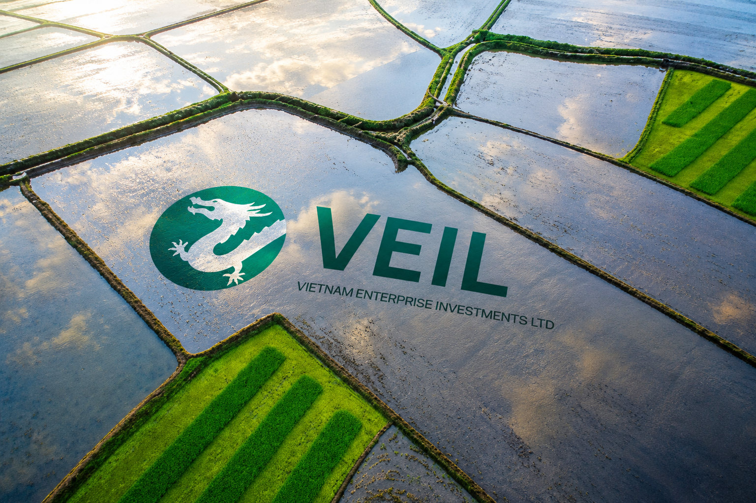 Dragon Capital đặt cược vào MSB giữa chu kỳ tín dụng mới