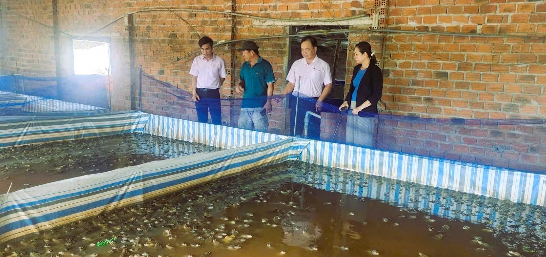 Vốn ngân hàng góp phần để ông Trần Quang Phương (thứ 2 từ trái sang) ở xã Thăng An chuyển đổi mô hình chăn nuôi.