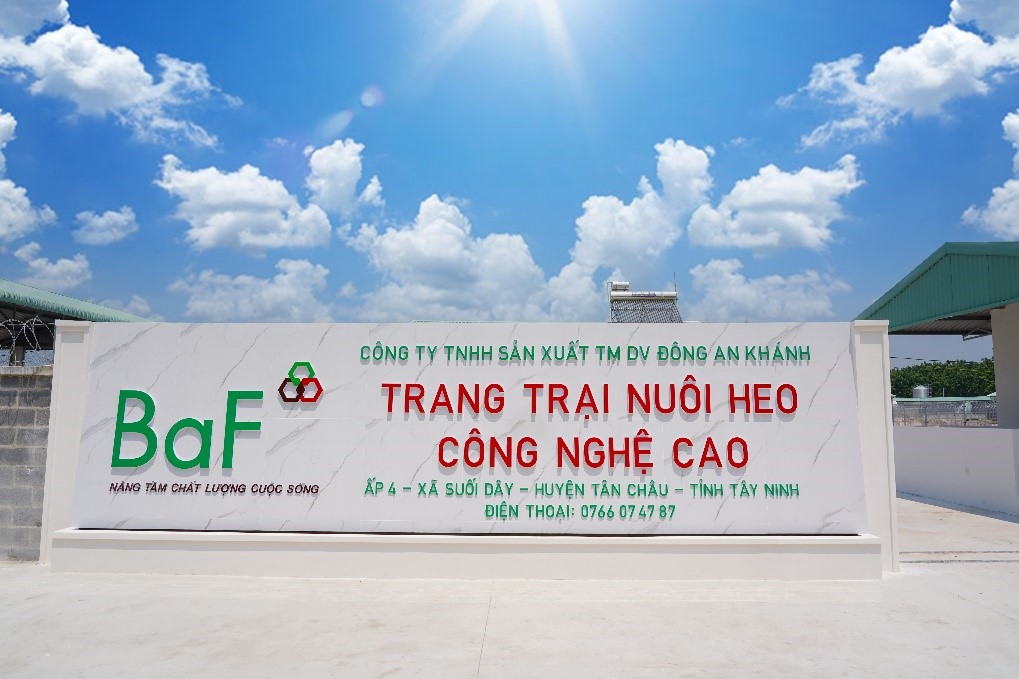 BAF tiếp tục xuống tiền mạnh tay, lập loạt công ty vốn hàng trăm tỷ đồng