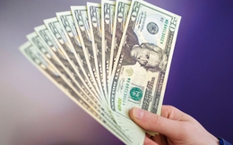 Tỷ giá USD hôm nay 22/6: Tỷ giá trung tâm ở mức 25.183 đồng