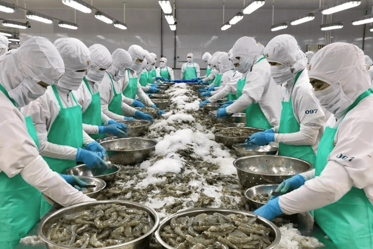 Xuất khẩu thủy sản sang Mỹ gặp nhiều thách thức (Ảnh VASEP).png