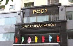 Bị phạt vì vi phạm công bố thông tin trái phiếu, cổ phiếu PC1 vẫn hút dòng tiền