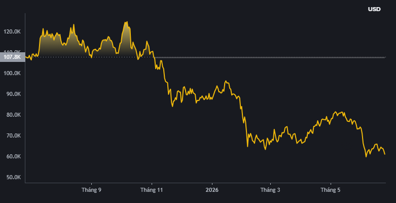 Diễn biến giá Bitcoin một năm trở lại đây. Nguồn Binance.png