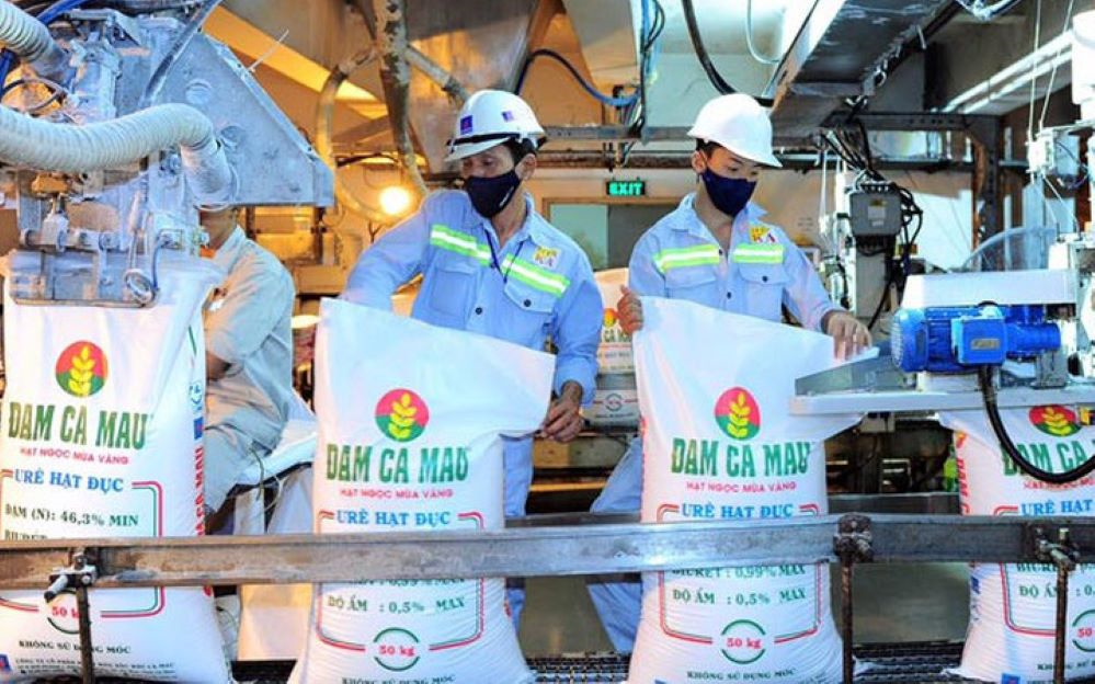 Đạm Cà Mau chốt ngày trả cổ tức tiền mặt sau quý lãi gần 789 tỷ đồng