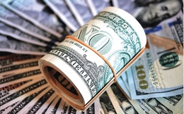 Tỷ giá USD hôm nay 3/7: Tỷ giá trung tâm ở mức 25.203 đồng