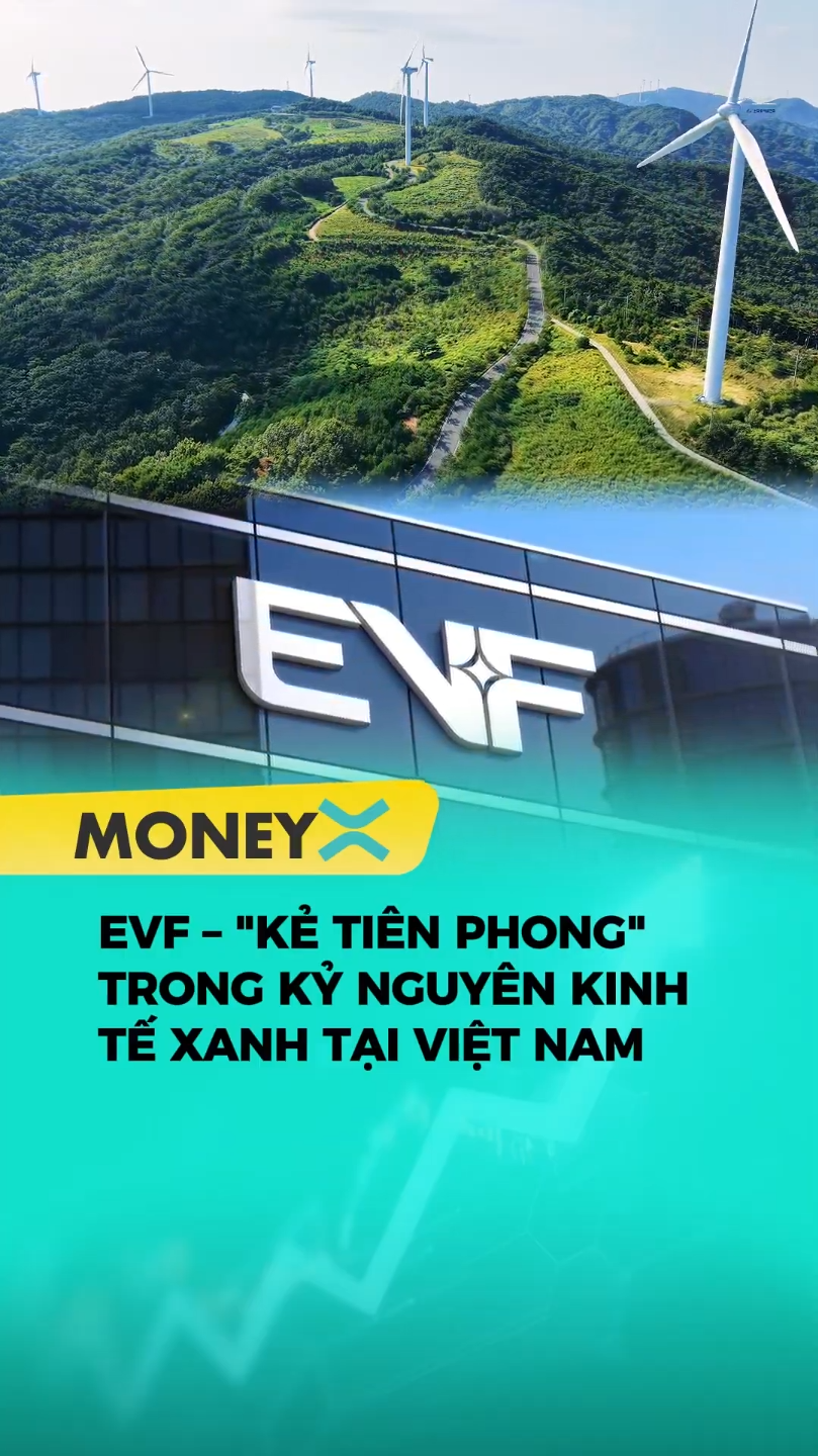 Sàn giao dịch carbon vận hành là lúc những doanh nghiệp có sự chuẩn bị từ sớm như EVF tỏa sáng