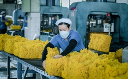 Xuất khẩu cao su giảm 7,9% về lượng và giảm 4,3% về trị giá
