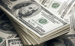 Tỷ giá USD hôm nay 7/7: Tỷ giá trung tâm ổn định