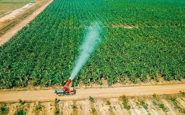 Sau khi HAG thoái vốn, HAGL Agrico có động thái mới tại thị trường Lào