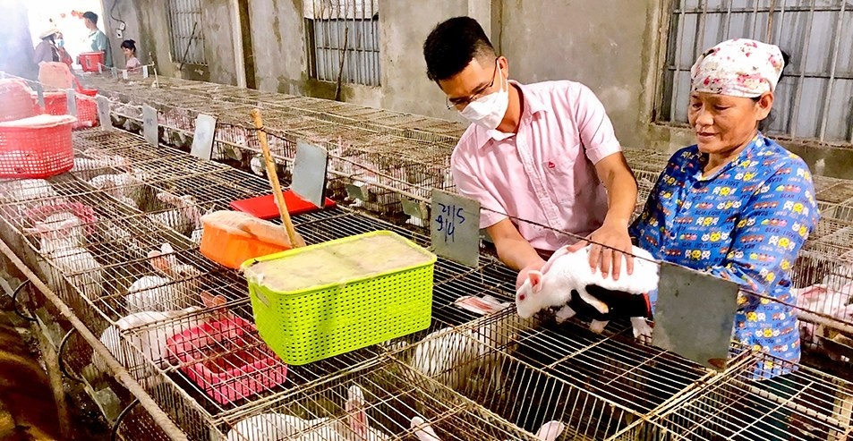 đẩy mạnh các gói tín dụng đáp ứng đầy đủ và kịp thời nhu cầu vốn cho sản xuất, kinh doanh, phục vụ nhu cầu đời sống, tiêu dùng chính đáng