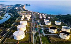 Chỉ 6 tháng vượt hơn 5,8 lần kế hoạch lợi nhuận, cổ phiếu BSR trở thành tâm điểm thị trường