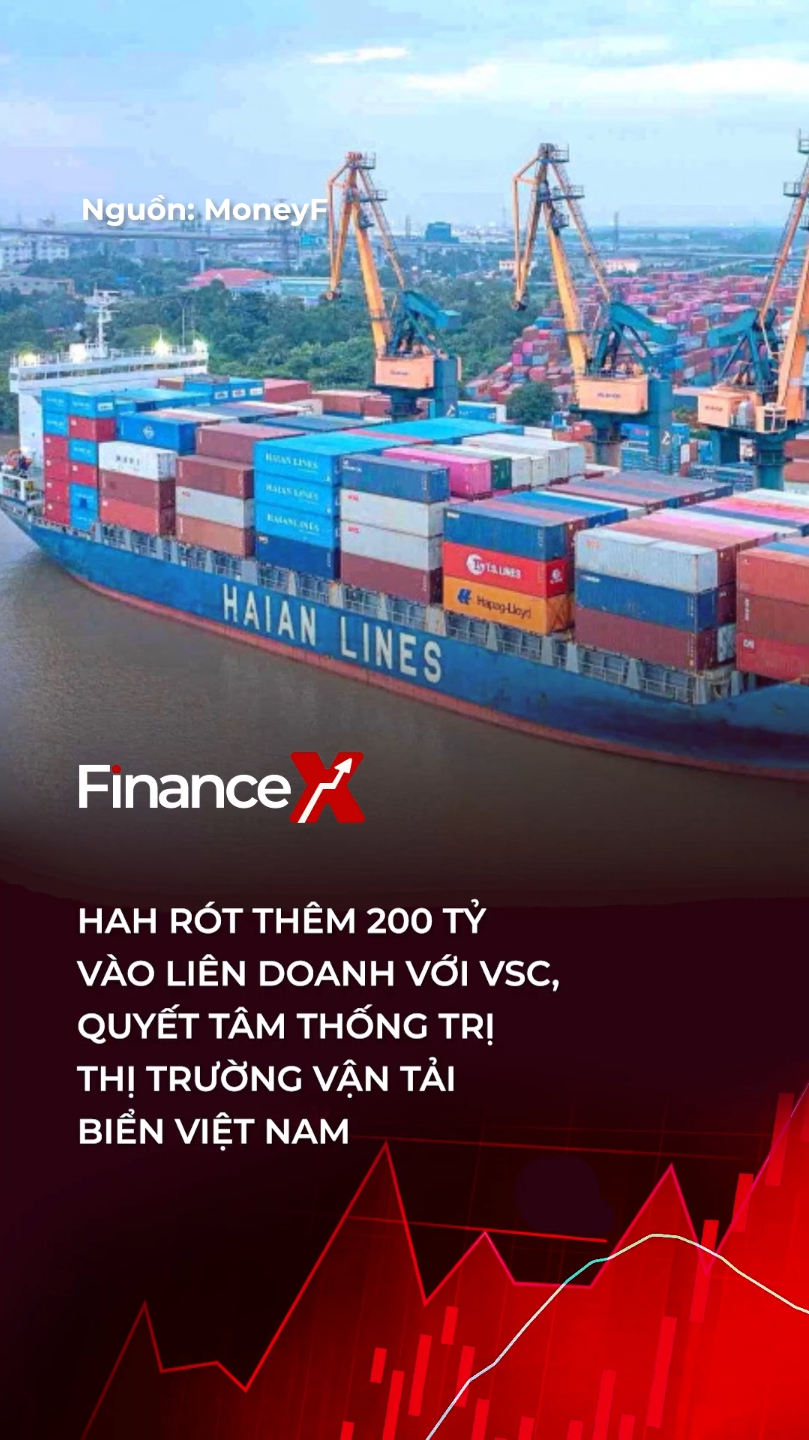Hải An (HAH) khẳng định cam kết dài hạn khi rót thêm 193 tỷ đồng vào liên doanh với Viconship (VSC)