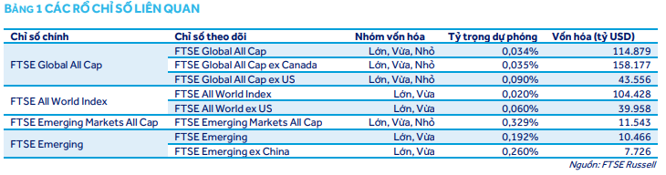 các rổ chỉ số liên quan FTSE.png