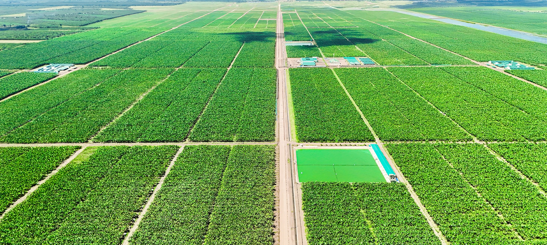 THACO AGRI báo lãi tăng gấp 6 lần, quy mô nợ phải trả lên hơn 68.000 tỷ đồng