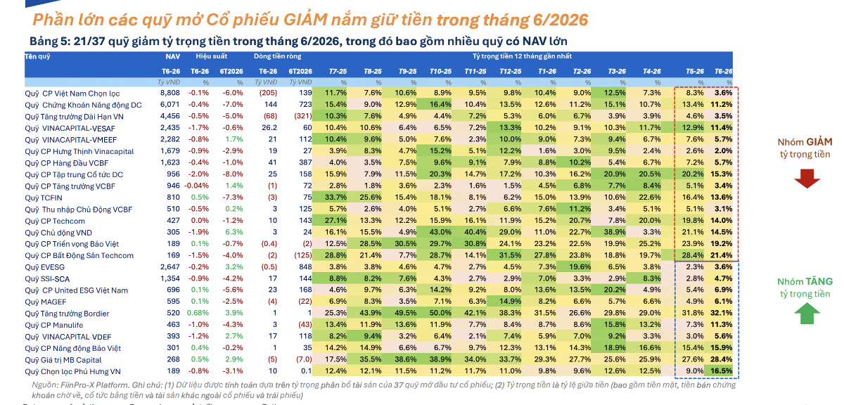 quỹ mở cổ phiếu giảm nắm tiền mặt tháng 6.png
