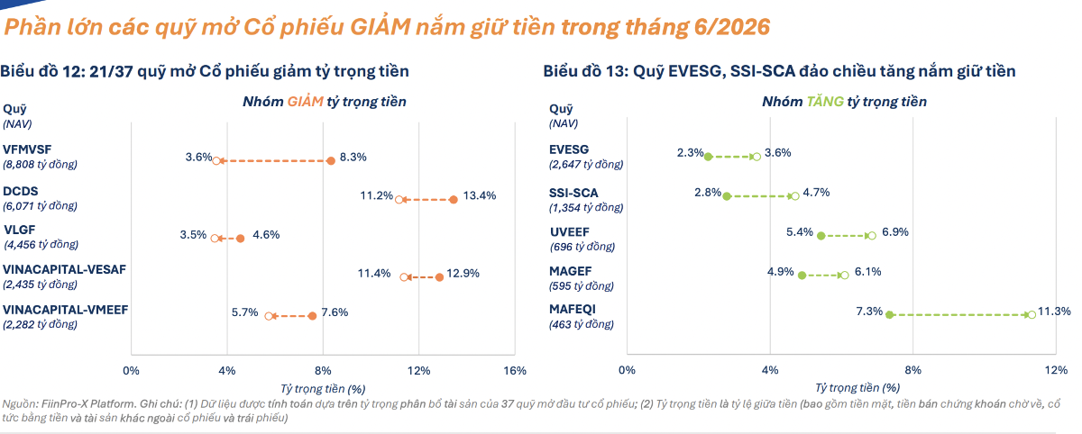 quỹ mở giữ tiền mặt tháng 6.png
