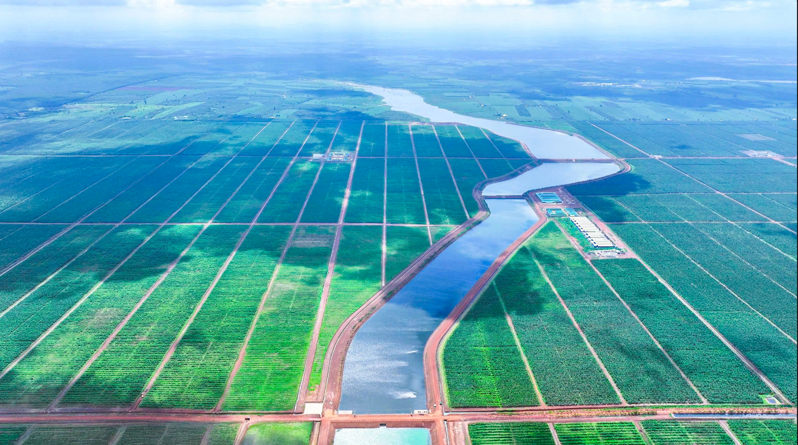 THACO AGRI đề xuất đầu tư 7.500 tỷ đồng phát triển vùng lúa công nghệ cao tại Hưng Yên