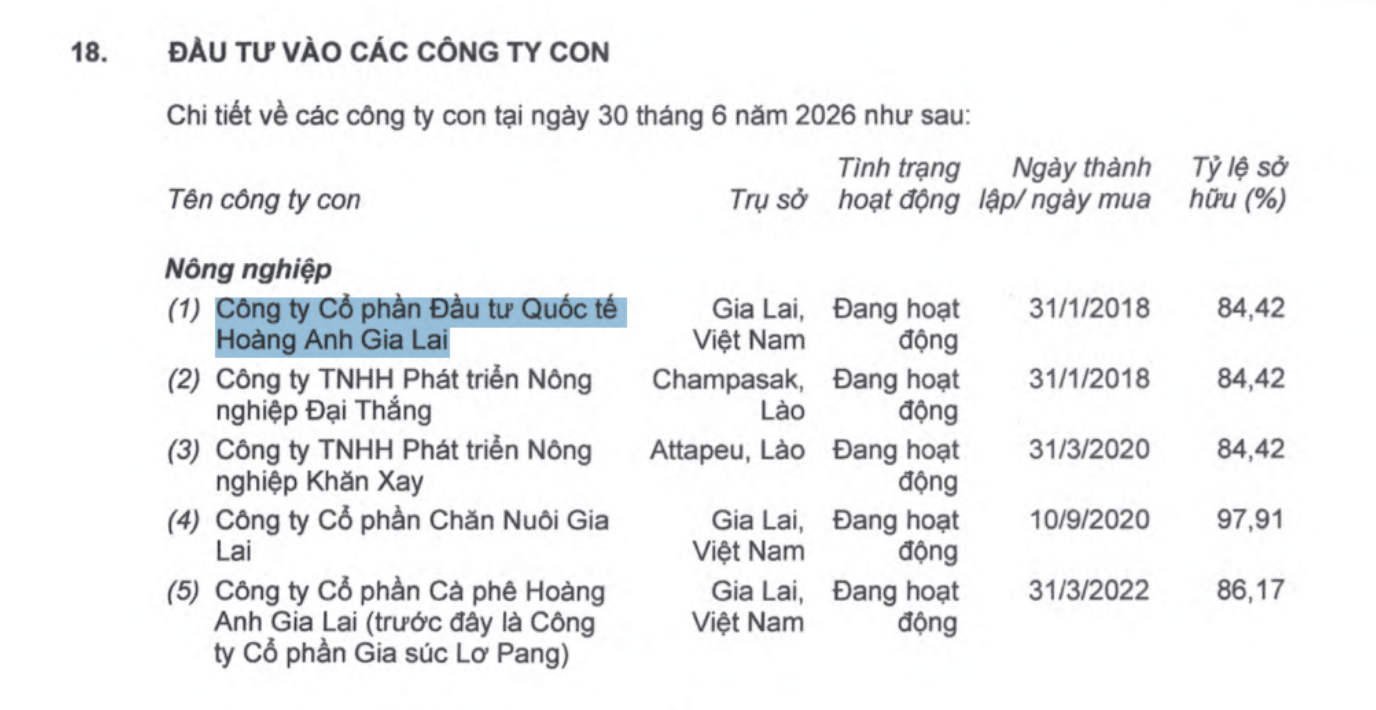 Hoàng Anh Gia Lai giảm sở hữu tại một công ty sắp IPO trong hệ sinh thái