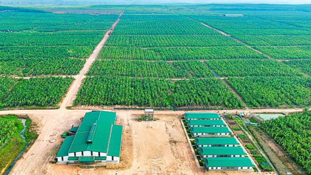 UBCKNN chấp thuận cho Đầu tư Quốc tế Hoàng Anh Gia Lai chào bán cổ phiếu lần đầu ra công chúng