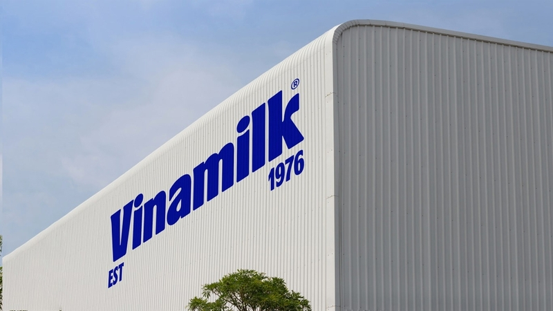 Vinamilk chưa tính tăng giá bán, nguồn sữa tươi đủ dùng đến năm 2028