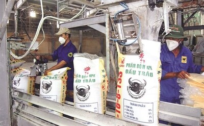 Phân bón Bình Điền (BFC): Chi phí lãi vay tăng hơn 220%, lãi quý II giảm tới 65%