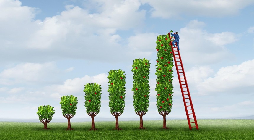 Thị trường chứng khoán ngày đầu tuần: VN-Index áp sát 1.790 điểm, giữ hay mua thêm?