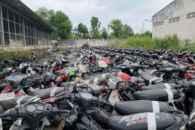 dau-gia-5000-phuong-tien-6874-1684306374185-1684306374296695211243.webp