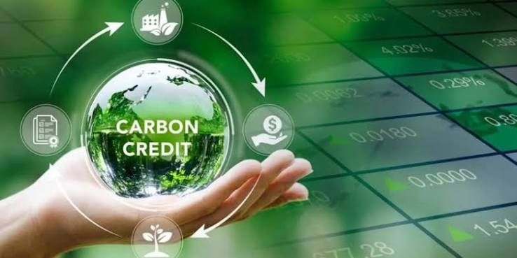 Mở đường cho dòng vốn ngân hàng vào thị trường tín chỉ carbon