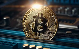 Giá Bitcoin hôm nay 15/8: Bitcoin vẫn chưa tìm được hướng đi rõ ràng