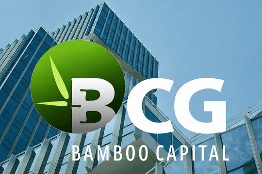 Cổ phiếu BCG, BCR, DAN và DVT sắp rời UPCoM trong tháng 8
