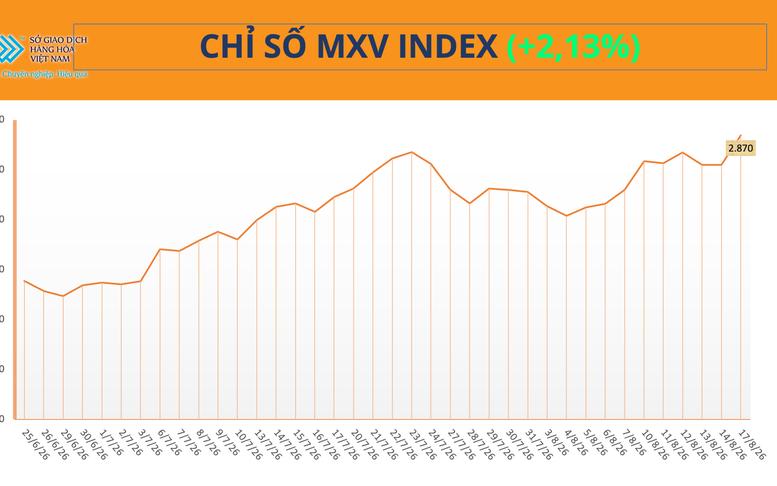 THỊ TRƯỜNG HÀNG HÓA: Sắc xanh bao phủ, MXV-Index tăng 60 điểm