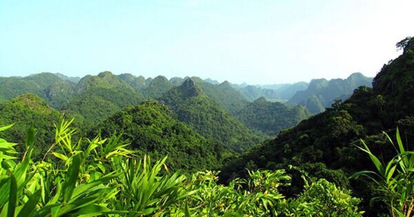 "Rừng xanh làm ra tiền", 11 cộng đồng miền núi Nghệ An lần đầu hưởng lợi từ ERPA năm 2026