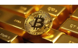 Giá Bitcoin hôm nay 7/9: ETF Bitcoin "hút" 3,8 tỉ USD trong ba tuần