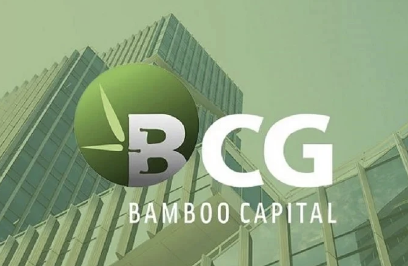 Bamboo Capital lên kế hoạch 5 năm để giảm nợ, xóa lỗ và khôi phục tư cách công ty đại chúng