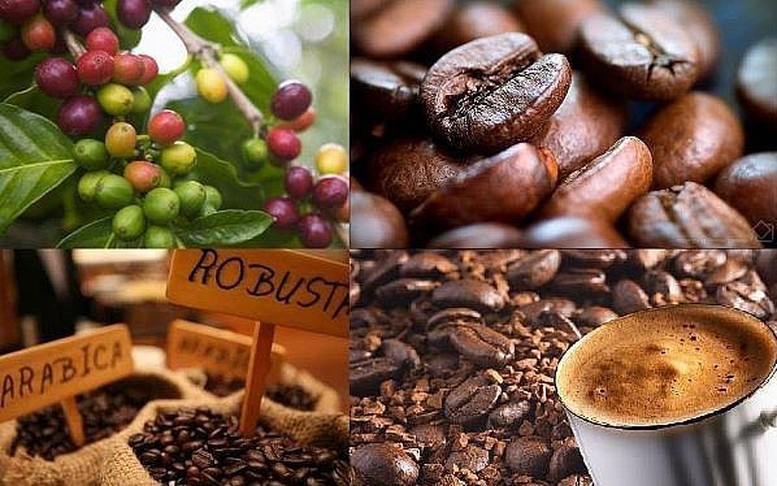 Việt Nam đồng đề xuất Nghị quyết của Liên Hợp Quốc về 'Ngày quốc tế cà phê'