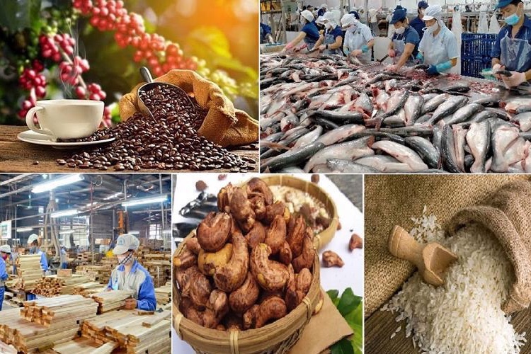 Xuất khẩu nông, lâm, thủy sản thu về 56,3 tỷ USD sau 9 tháng
