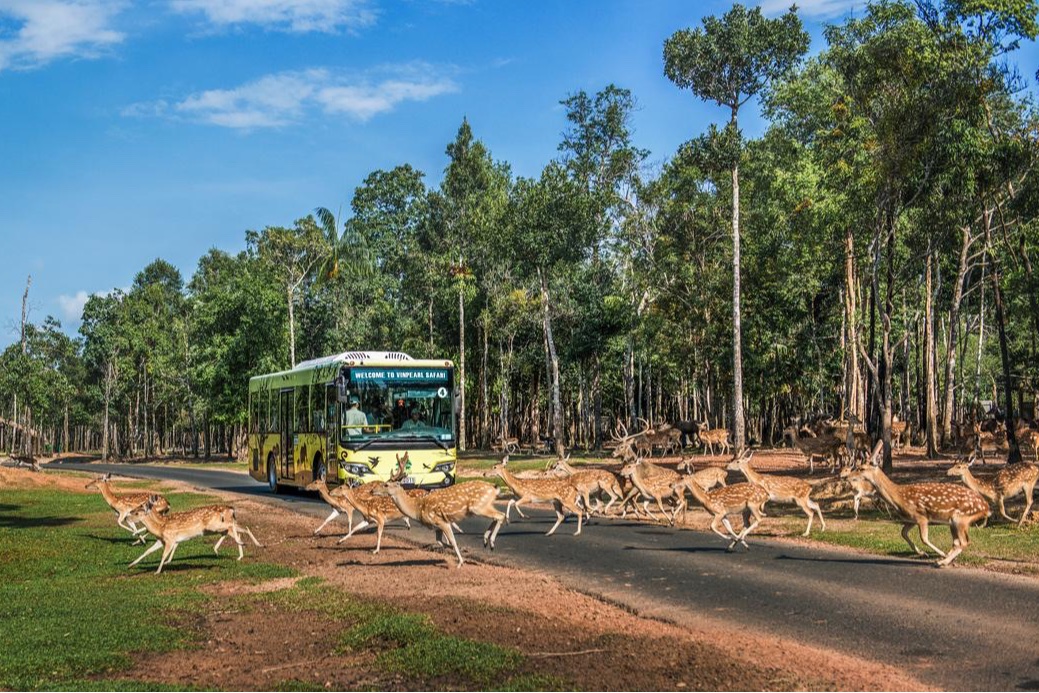 Nắm giữ “kỷ lục kép” thế giới, Vinpearl Safari Phú Quốc “khủng” cỡ nào?