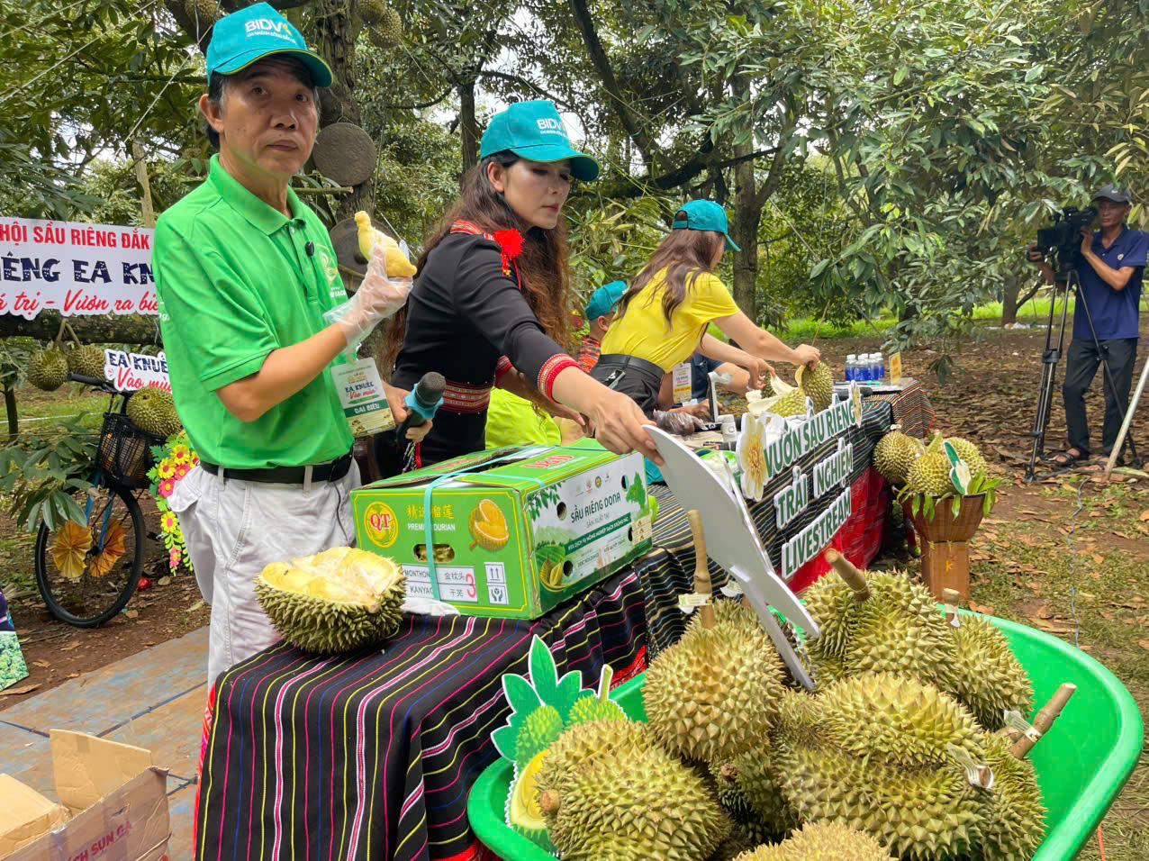 Sầu riêng Đắk Lắk: Sau lễ hội, làm gì để giữ thị trường?