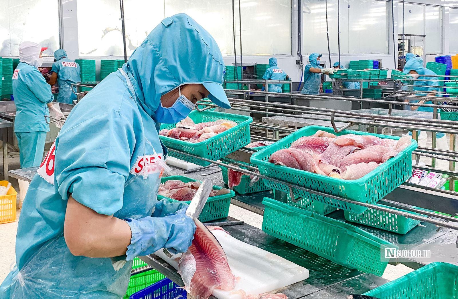 Lợi nhuận Nam Việt (ANV) được dự báo tiếp tục giảm mạnh trong quý III